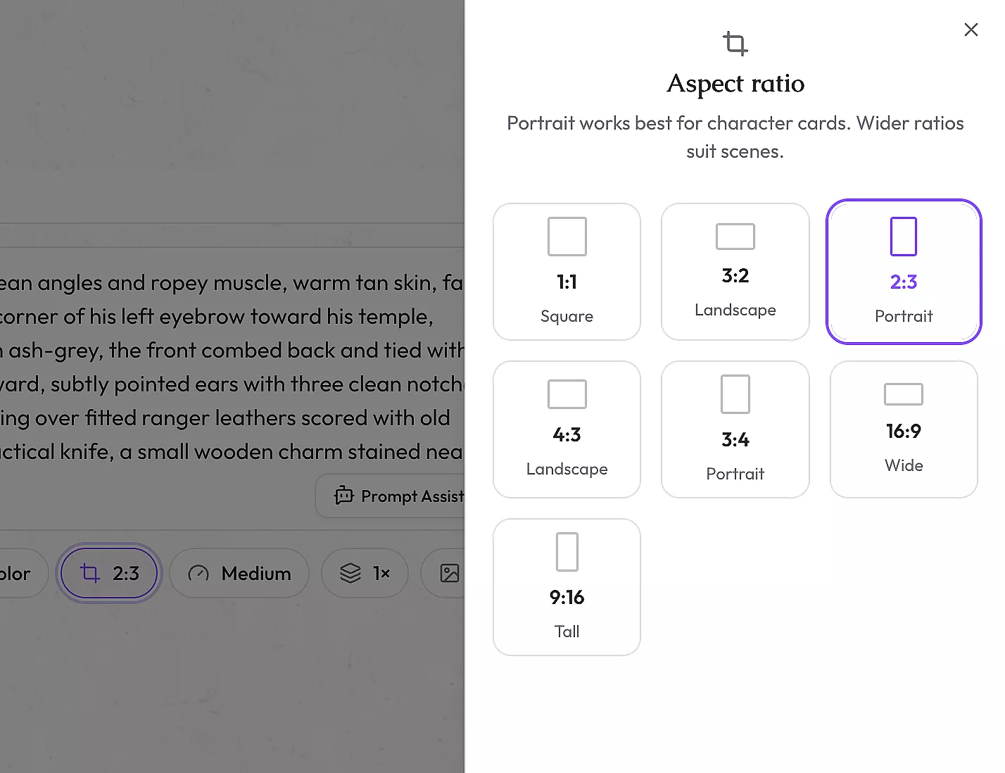 A screenshot of the aspect ratio picker