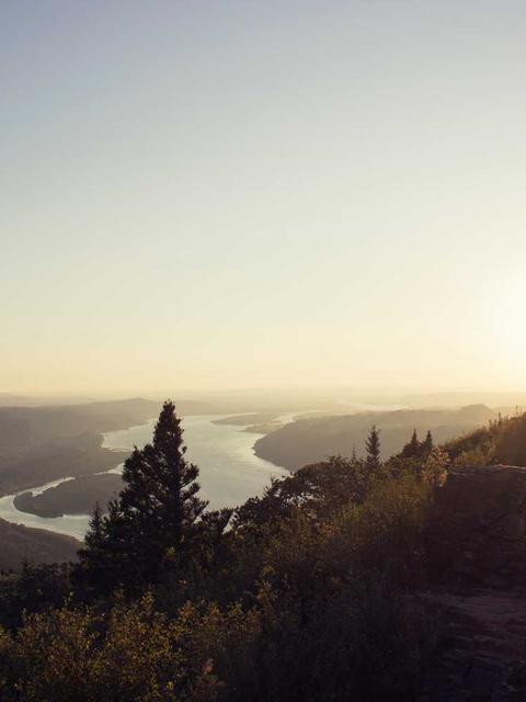 aliquam voluptates qui