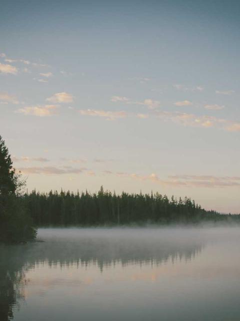 delectus qui molestiae