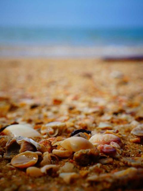 explicabo veniam voluptatem