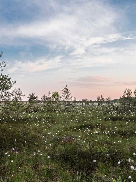 error autem voluptatibus