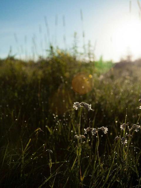 omnis itaque quibusdam