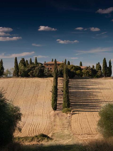 reprehenderit sequi perspiciatis