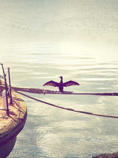 eos culpa perspiciatis