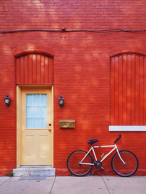 delectus harum consectetur